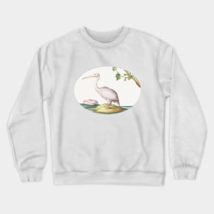 Two White Pelicans with a Sycamore Fig (1575–1580) Crewneck Sweatshirt